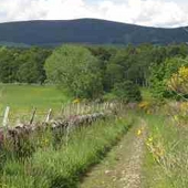 One of many attractive walks near Drumniall