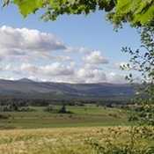 The view in front of Upper Ruthven and Drumniall